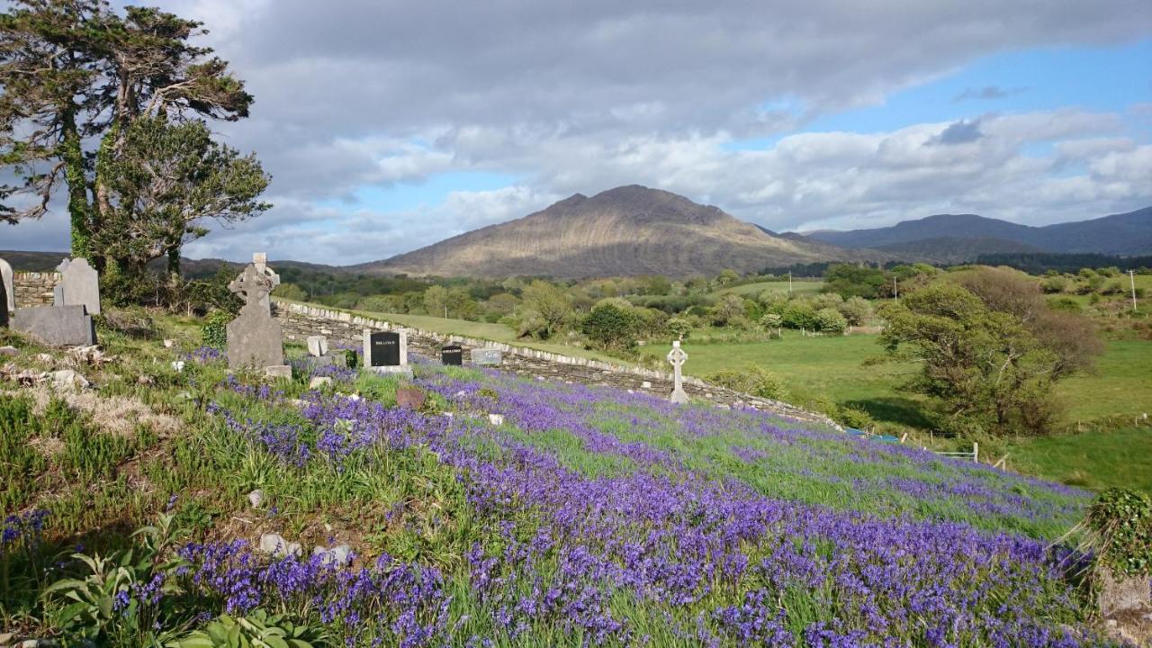 Kenmare Eco Lodge 외부 사진